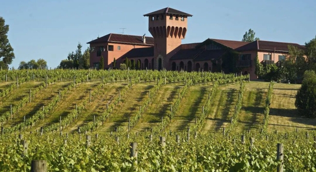 新西蘭馬爾堡_650 新西蘭馬爾堡_650